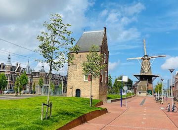 netherlands/delfland/landmark/delft-windmill-de-roos