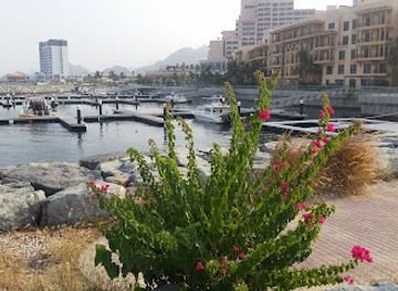 united-arab-emirates/dibba-al-fujairah/landmark/mina-al-fajer-resort