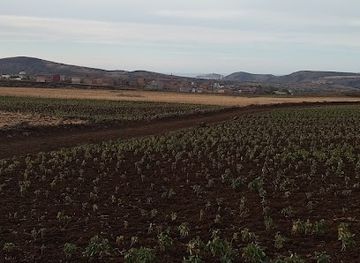 algeria/gourara-region/landmark/orgues-basaltiques-de-tadmaya