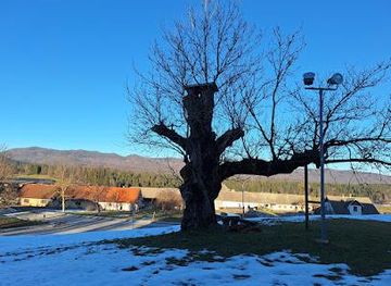 croatia/opatija/landmark/skrilj