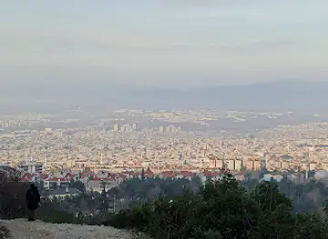 Viewpoint
