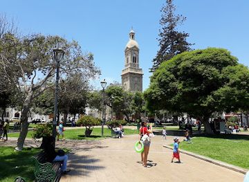 chile/la-serena/landmark/plaza-de-armas-de-la-serena