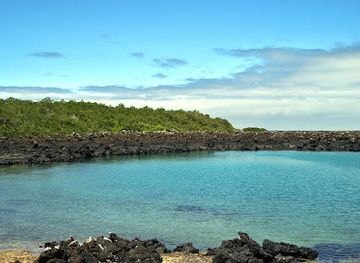 ecuador/pacific-coast/landmark/isabela-island