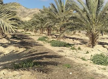 jordan/northern-jordan-valley/landmark/jordan-valley-visitor-center-in-arbel