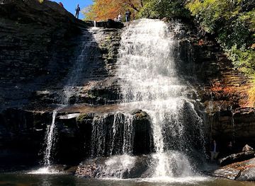 maryland/swallow-falls-state-park/landmark/swallow-falls-natural-area