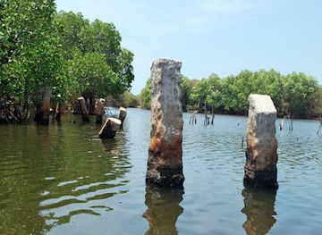 sri-lanka/north-central-province/landmark/ancient-stone-bridge-at-kayankerni