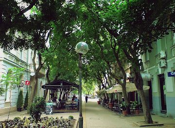 serbia/banat/landmark/bar-banat