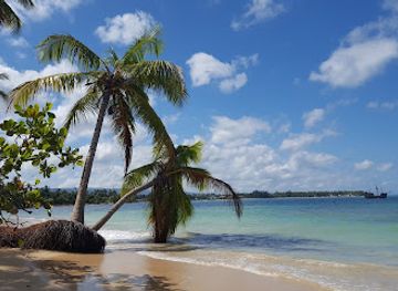 dominican-republic/los-haitises/landmark/playa-punta-popy