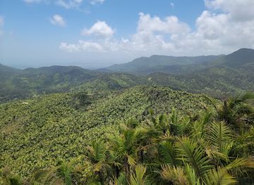 puerto-rico/caribbean-national-forest/landmark/vereda-angelito
