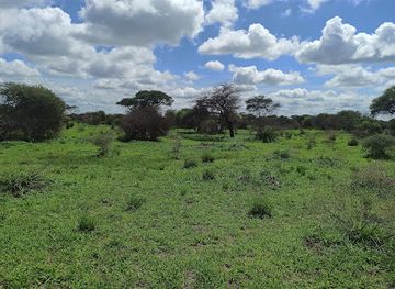 botswana/kalahari-desert/landmark/nxai-pan