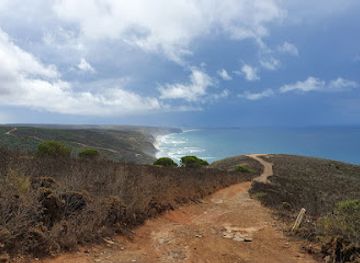 portugal/costa-vicentina/landmark/costa-vicentina-travel