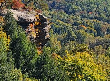 ohio/wayne-national-forest/landmark/conkles-hollow-state-nature-preserve