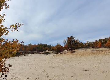 michigan/sleeping-bear-dunes-national-lakeshore/landmark/houdek-dunes-natural-area-the-leelanau-conservancy