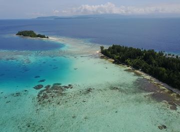solomon-islands/gizo-island/landmark/dive-gizo