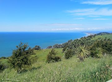 new-zealand/bay-of-plenty/landmark/ohope-scenic-reserve