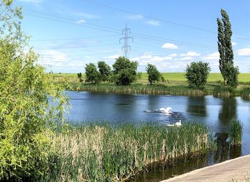 romania/olt/landmark/padurea-verde
