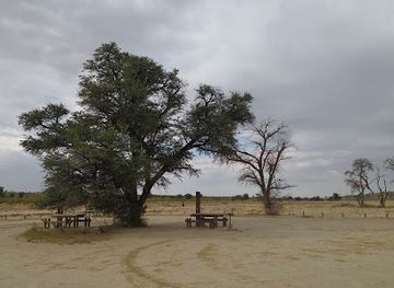 botswana/nxai-pan-national-park/landmark/kgalagadi-transfrontier-park