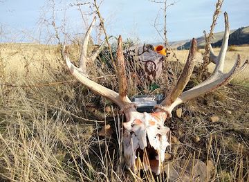 oregon/umatilla-county/landmark/homly-cemetery