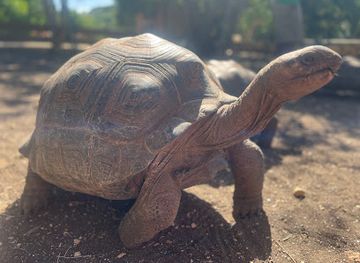 antigua-and-barbuda/fig-tree-drive/landmark/laviscount-island