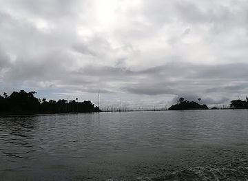 suriname/brokopondo-reservoir/landmark/brownsberg