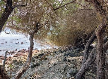 maldives/thulusdhoo/landmark/furaagandu