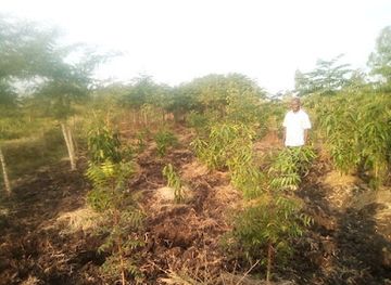 kenya/kisumu/landmark/nyamware