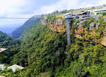 south-africa/lowveld/landmark/big-swing-graskop-gorge-lift-co