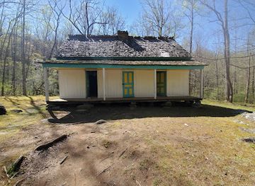 tennessee/gatlinburg/landmark/alf-reagan-house