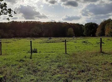 belgium/aalst/landmark/kravaalbos