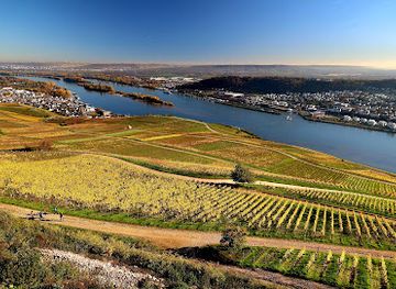 germany/rhine-valley/landmark/niederwald-monument