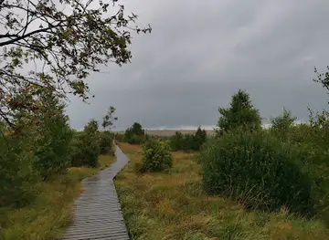 Landscape Fagnes and Surroundings
