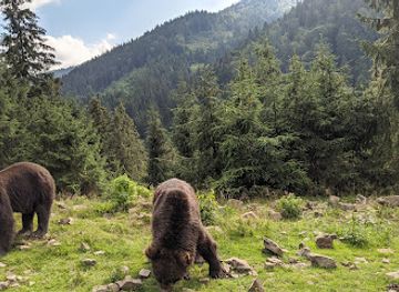 ukraine/synevyr-national-park/landmark/rehabilitation-center-of-brown-bears