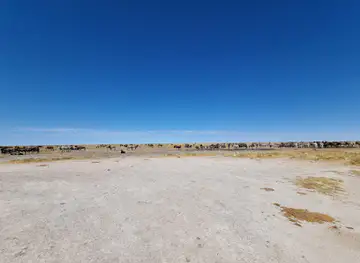 etosha national park