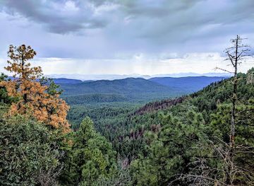 arizona/white-mountains/landmark/apache-sitgreaves-national-forests