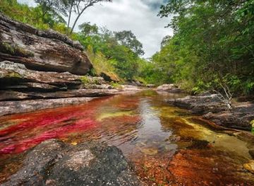 colombia/cocora-valley/landmark/parque-nacional-natural-serrania-de-la-macarena