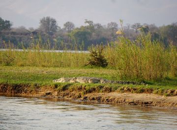 Lower Zambezi National Park