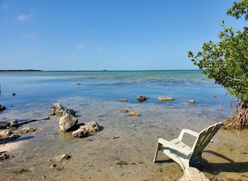 florida/florida-keys/landmark/wild-bird-sanctuary-florida-keys-wild-bird-center
