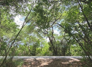curacao/groot-santa-martha/landmark/santa-martha-nature