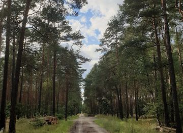 poland/bydgoszcz/bartodzieje/landmark/las-gdanski