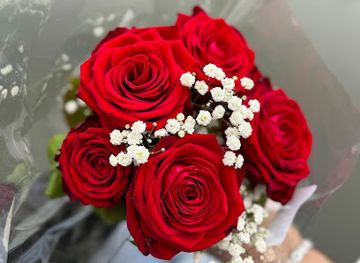 germany/hannover/linden/landmark/sitz-platz-am-ihme