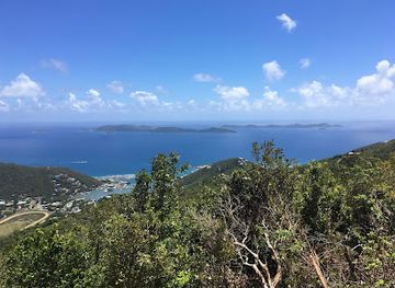 british-virgin-islands/guana-island-hiking-trails/landmark/sage-mountain-national-park