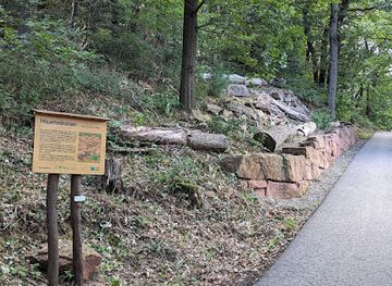 germany/heidelberg/neuenheim/landmark/mauereidechsen