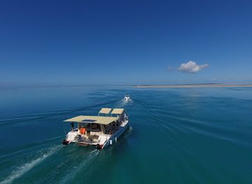 mozambique/vilanculos/landmark/wild-africa-mozambique