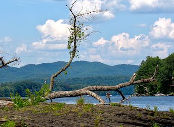 massachusetts/mohawk-trail/landmark/dinosaur-footprints
