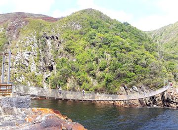 south-africa/tsitsikamma-national-park/landmark/tsitsikamma-wolf-sanctuary