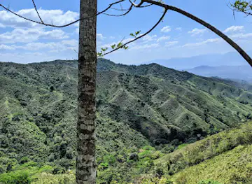 Reserva de la biosfera de Tawahka Asangni