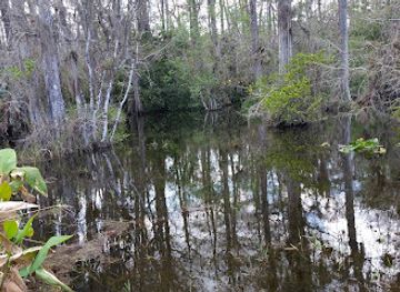 florida/big-cypress-national-preserve/landmark/explore-big-cypress-tours-and-lodging