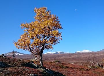 norway/jotunheimen-national-park/landmark/veostien