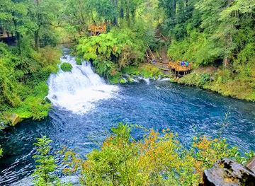 chile/pucon/landmark/parque-ojos-del-caburgua