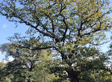 slovakia/banska-bystrica-region/landmark/gavurky